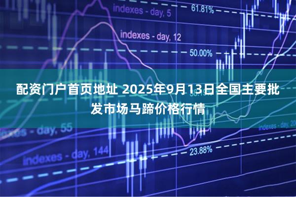 配资门户首页地址 2025年9月13日全国主要批发市场马蹄价格行情
